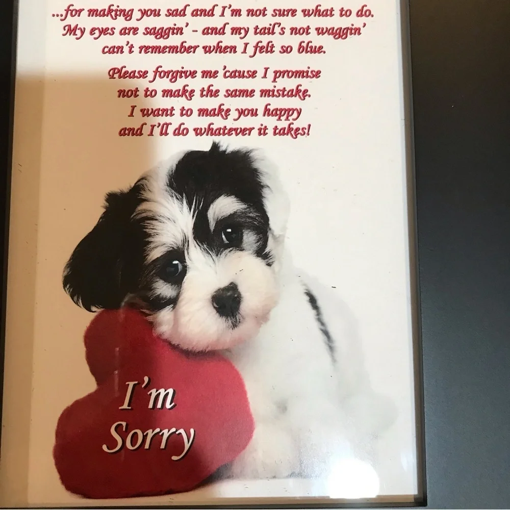 ▪️Poetry Gifts “I’m Sorry ..” Frame
